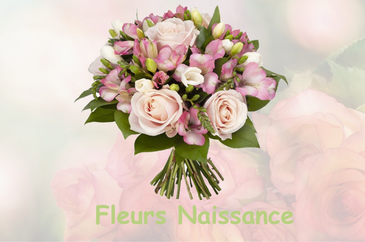 fleurs naissance CHARMONT-EN-BEAUCE