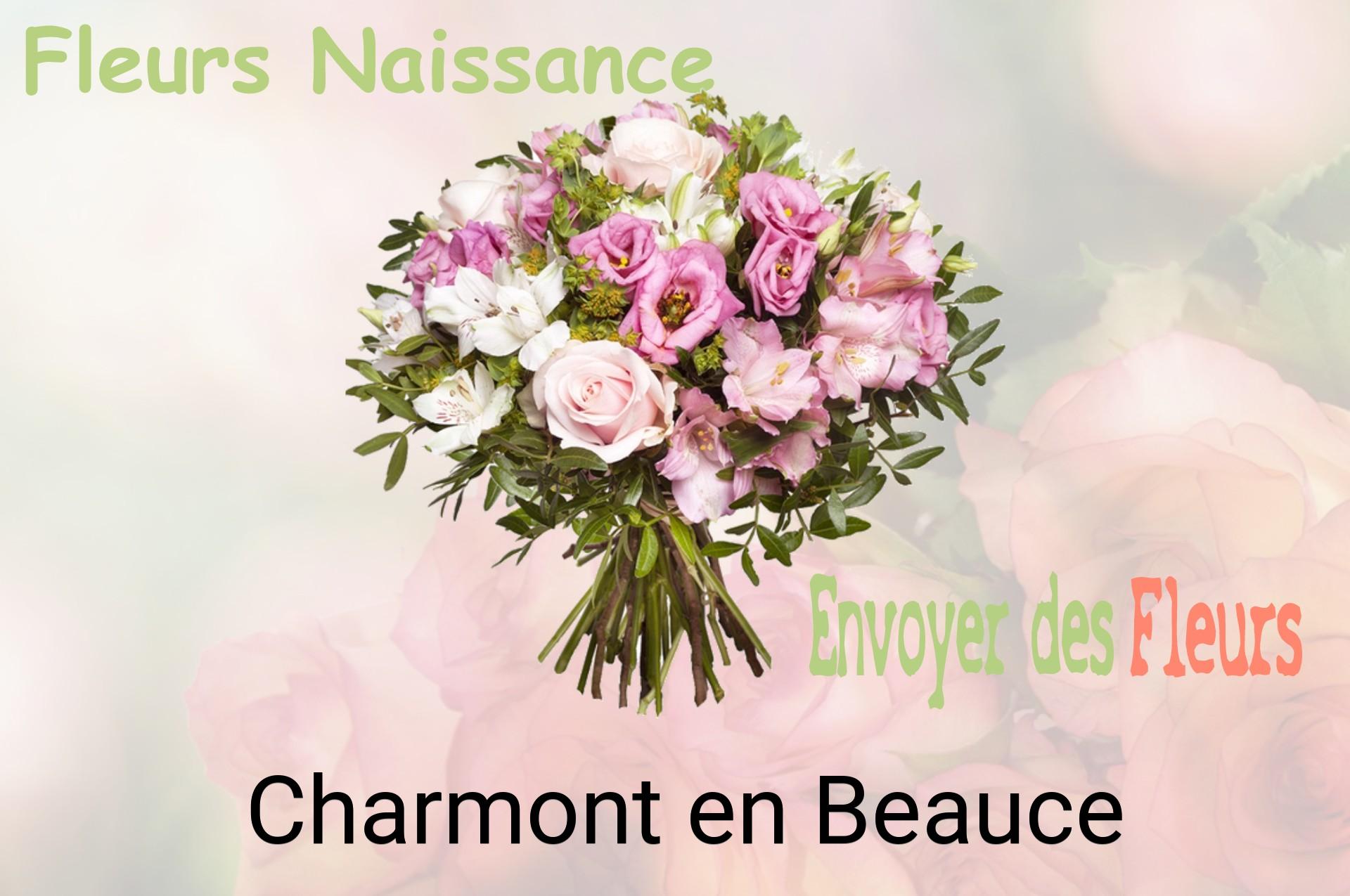 Bouquet de fleurs de naissance livré à Charmont-en-Beauce