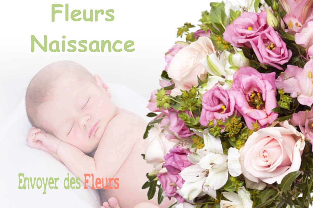 lIVRAISON FLEURS NAISSANCE à CHARMONT-EN-BEAUCE